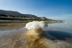 La mer Morte, une eau riche en sels minéraux